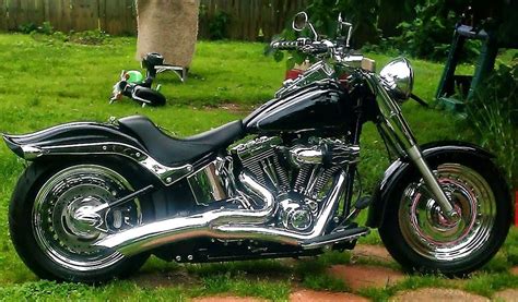 Bobtail Fender On Fatboy Harley Davidson Forums Harley Davidson