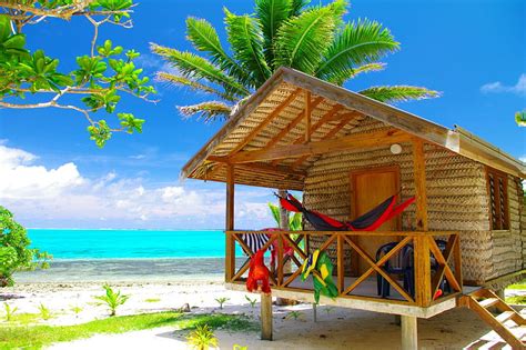 Tropical Beach Hut