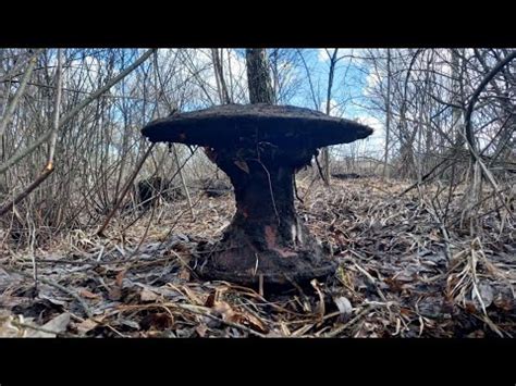 Железный гриб! - YouTube