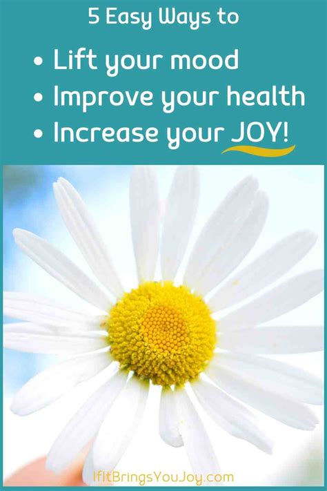 Increase Joy Ellen Burgan Coaching