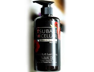 Мицеллярный шампунь Carebeau Tsubaki - купить