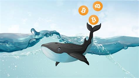 Bitcoin Whales Everything You Need To Know