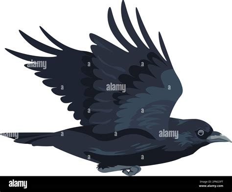 Flying large black bird, crow in motion vector Stock Vector Image & Art ...