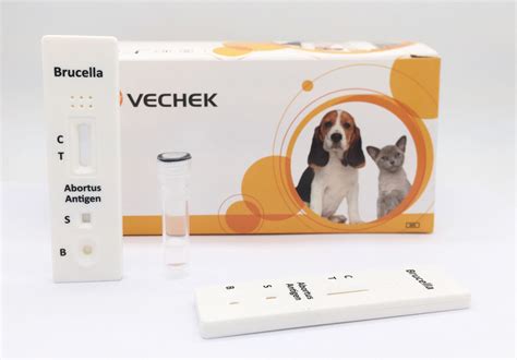 10 Minutes Bovine Brucella Antigen Test With Qualitative And Preliminary