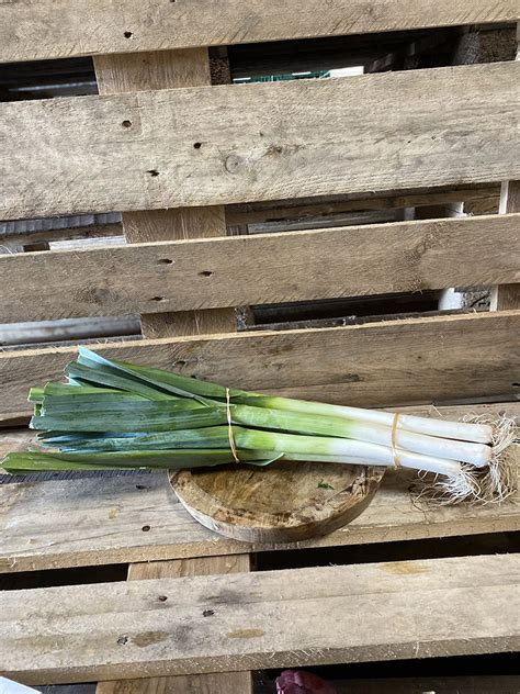 Jonge Prei Bussel Dillen Groenten Fruit Bv