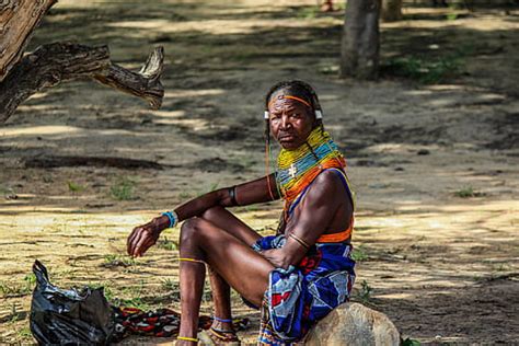 livre Moçambique fotos Piqsels