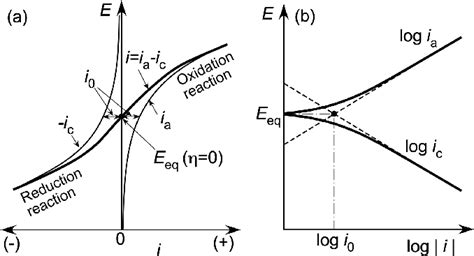 Electrode Kinetics As Expressed By The Butlervolmer Equation Plotted