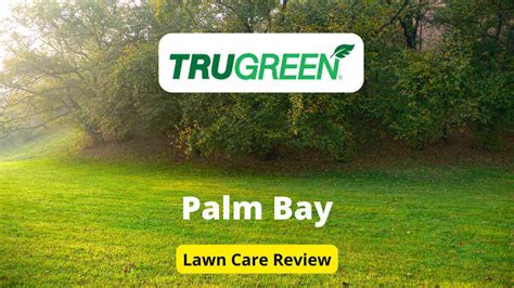 Trugreen Lawn Care In Palm Bay Review