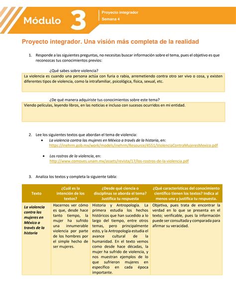 SOLUTION Proyecto Integrador M Dulo 3 Prepa En Linea Sep Studypool