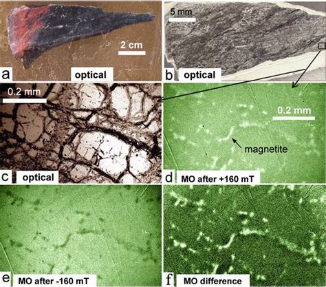 Serpentinized ultramafic rock sample. (a) Optical images of the rock ...