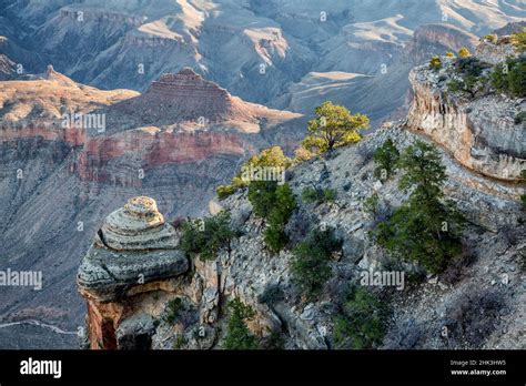 Usa Arizona Grand Canyon National Park View From Yaki Point At