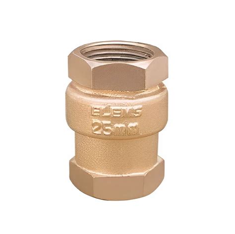 Stainless Steel Up To 1 4 Inch Non Return Valve Brass At Rs 90 Piece