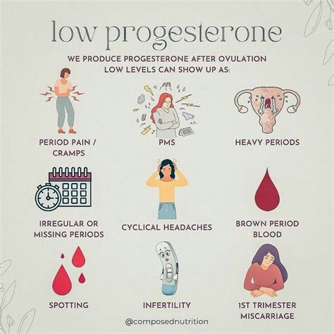 Estrogen Dominance Progesterone Deficiency Artofit