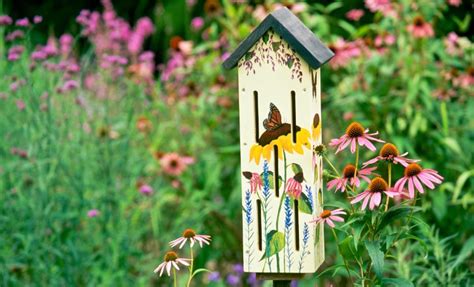 How To Make A Butterfly House Easy Guide Woodland Trust