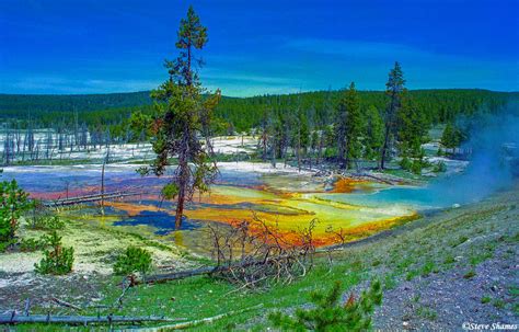 Yellowstone Color Yellowstone National Park Wyoming Steve Shames Photo Gallery