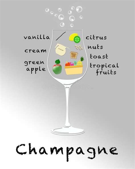 Wine Tasting Notes stock illustration. Illustration of vanilla - 73614798