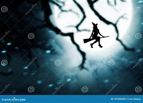 245 Silhouette Witch Flying Broomstick Stock Photos Free Royalty