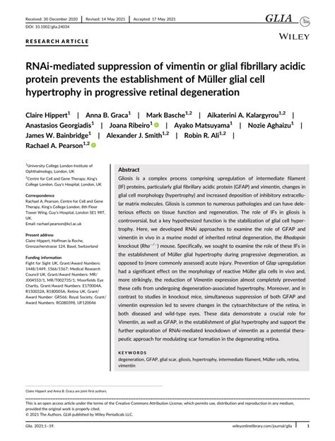 Pdf Rnaimediated Suppression Of Vimentin Or Glial Fibrillary Acidic