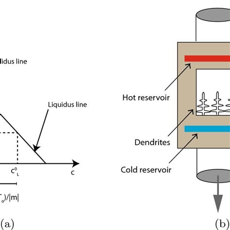 Directional solidification in a binary alloy. Shown are (1a) a ...