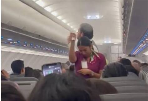 Mosquito infestation causes flight delay as cabin is overrun by the insects (video) - Talk of Naija