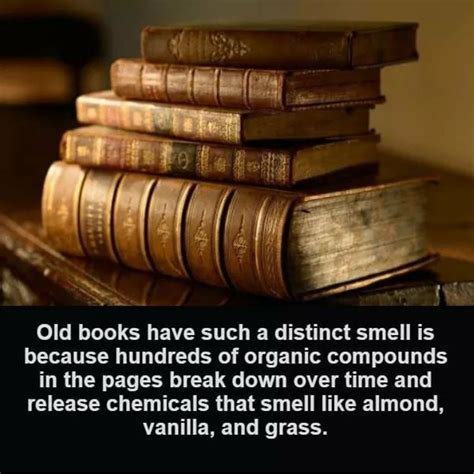 Old books have a distinct smell. | Old books, Books, Weird facts