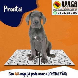 Jornal Para Pets Shopee Brasil