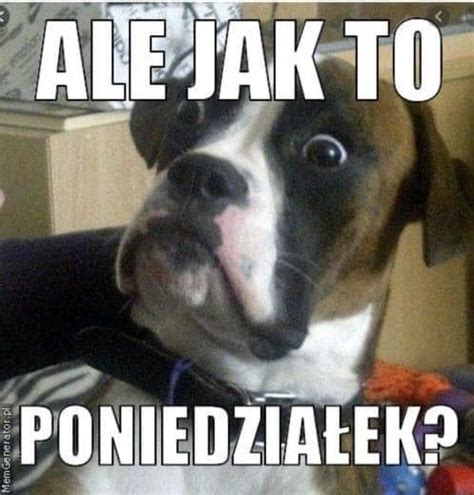 Ale Jak To Poniedzia Ek Gify I Obrazki Na Gifyagusi Pl