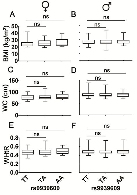 Box Plots And Analysis Of The Effect Of Fto Rs9939609 Gene Variant On