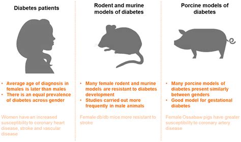 Diabetology Free Full Text Increasing The Representation Of Women