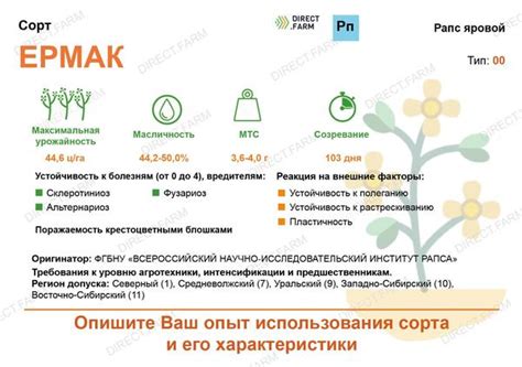 Сорта и гибриды ярового рапса: характеристика семян и растений