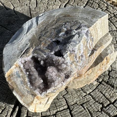 Black Hills Geode South Dakota Rockhound