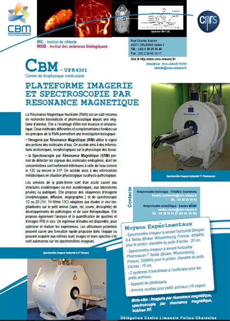 Plateforme Imagerie Et Spectroscopie Par R Sonance Magn Tique Centre