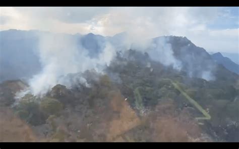 Se Registró Un Incendio Forestal En Rayones Nuevo León Capital México