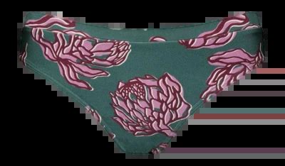 Bikinibroekje Barts Women Gunja Bikini Briefs Cedar Badenstrand