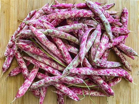 Borlotti Beans With Tomatoes And Pancetta Our Italian Table