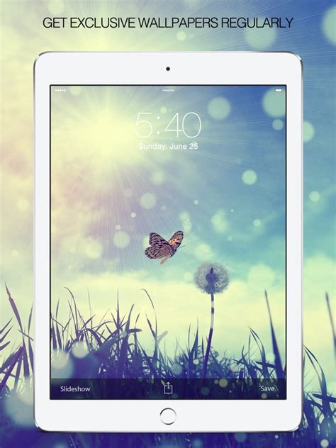 Awesome Rose Gold Butterfly Wallpaper Tumblr wallpaper