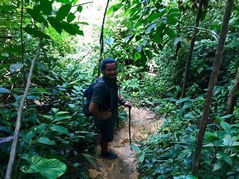 Jungle Trekking In Bukit Lawang Everything You Need To Know