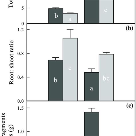 Differences In Total Plant Biomass A Rootshoot Ratio B And Total