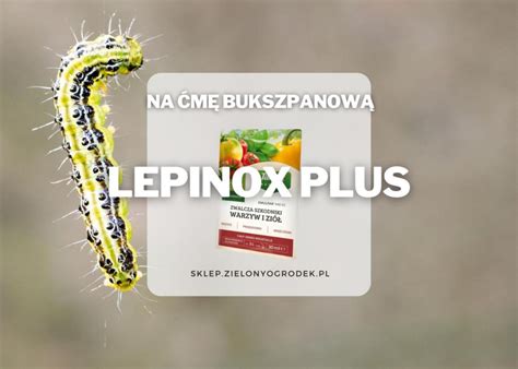 Lepinoks Jak działa Jak stosować Gdzie kupić Sprawdź Zielony Ogródek