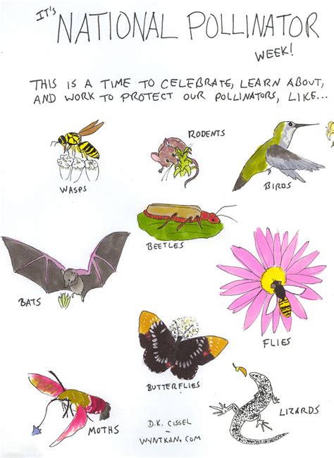 It S National Pollinator Week