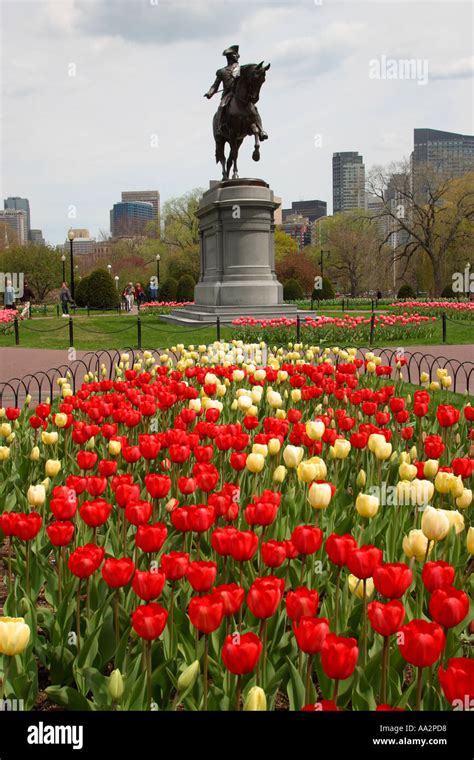 George Washington Statue in Public Garden Boston Massachusetts Stock Photo - Alamy