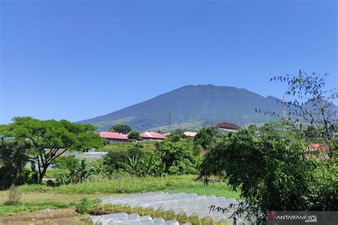 Penutupan Jalur Pendakian Gunung Gede Pangrango Diperpanjang Antara News