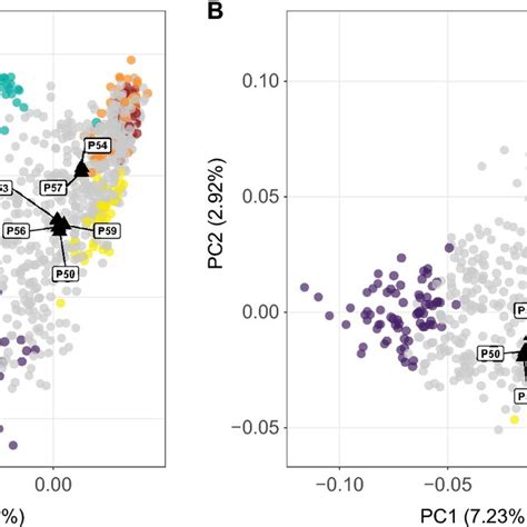 Genetic Affinities Between Pips Excavated At Grotta Di Pertosa And