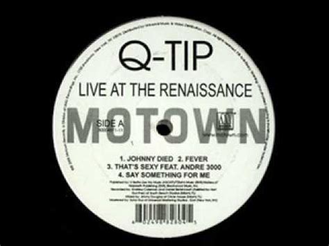 Q Tip Renaissance Vinyl Discount Codes | www.meesenburg.kz