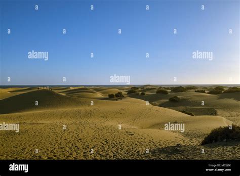 Sand dunes in Gran Canaria Stock Photo - Alamy