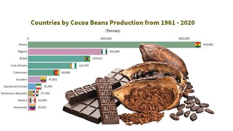 Producción De Cacao En Grano Por Países Desde 1961 2020 Youtube