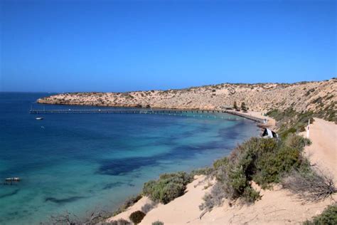 Bushranger Cactus Beach