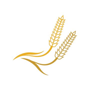 Wheat Illustration Vector PNG Images Wheat Vector Icon Illustration