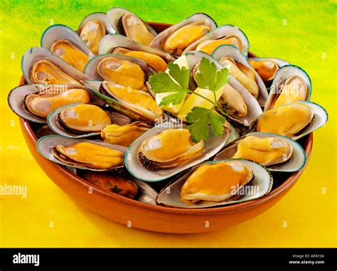 NEW ZEALAND GREEN MUSSELS Stock Photo - Alamy