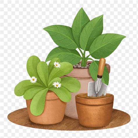 Aesthetic Houseplant PNG | Premium Image